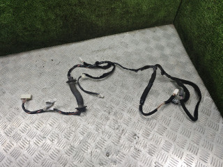 дверная проводка Renault Duster 1 поколение [рестайлинг] 2017, 2.0 л., бензин, МКПП, внедорожник 5 дв., полный привод, 2411255989R