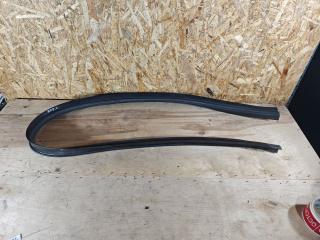 уплотнитель двери Renault Duster 1 поколение [рестайлинг] 2017, 2.0 л., бензин, МКПП, внедорожник 5 дв., полный привод