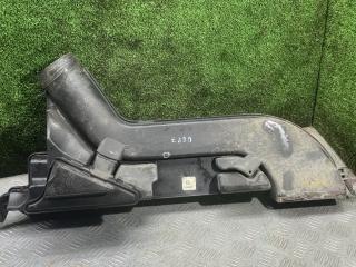 патрубок воздушного фильтра Nissan Altima L32 2007, 2.5 л., бензин, АКПП, седан, 1019490503