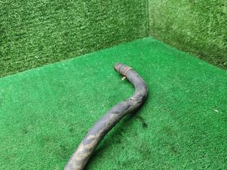 патрубок радиатора Volkswagen Golf 3 поколение 1995, 1.3 л., бензин, МКПП, хетчбэк 3 дв.