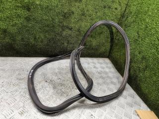 уплотнитель двери Volkswagen Polo Sedan 1 поколение [рестайлинг] 2019, 1.6 л., MPI, бензин, МКПП, седан