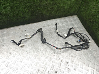 дверная проводка Renault Duster 1 поколение [рестайлинг] 2017, 2.0 л., бензин, МКПП, внедорожник 5 дв., полный привод, 241241028R