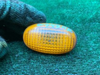 повторитель поворота на крыле правый Daewoo Nubira J100 1999, 2.0 л., бензин, МКПП, универсал