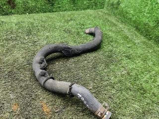 патрубок радиатора Peugeot 406 1 поколение [рестайлинг] 2000, 2.0 л., HDi, дизель, МКПП, универсал