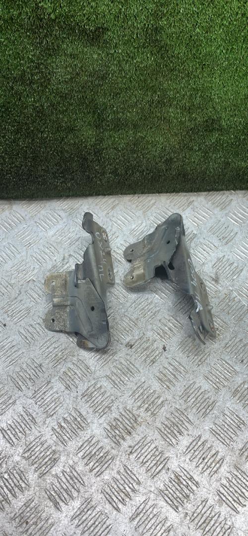 петля капота Renault Laguna 2 поколение 2002, 1.8 л., бензин, МКПП, хетчбэк 5 дв. - фото №1