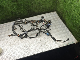 проводка двигателя Renault Duster 1 поколение [рестайлинг] 2017, 2.0 л., бензин, МКПП, внедорожник 5 дв., полный привод, 240111788R, 8888141788R