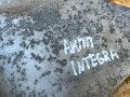 подушка крепления двигателя Acura Integra 4 поколение 2024, 1.5 л., бензин, вариатор, хетчбэк 5 дв., передний привод, 50850-T20-A11 - фото №8
