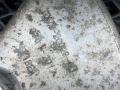 защитный кожух тормозного механизма Jaguar XE 1 поколение X760 2019, 3.0 л., AJ 126, бензин, АКПП, седан, GX732C029AB, GX732C028AB, T2H3208, T2H3207 - фото №7