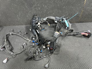 проводка двигателя Kia K5 3 поколение [рестайлинг] 2025, 2.5 л., бензин, АКПП, седан, полный привод, 91455L2090, 91961L0012