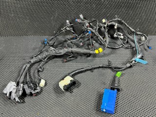 проводка двигателя Chevrolet Trax 2 поколение 2024, 1.2 л., бензин, АКПП, внедорожник 5 дв., передний привод, 42884954