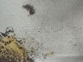 крыло переднее левое Mercedes-Benz S-Класс W222/C217/A217 2014, 4.0 л., M 278.910, бензин, седан, A2228810107 - фото №13