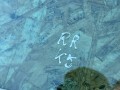 стекло двери задней правой Kia K5 3 поколение [рестайлинг] 2025, 2.5 л., бензин, АКПП, седан, полный привод, 83420L2710 - фото №7