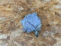 насос вакуумный Nissan Rogue T33 2023, 1.5 л., KR15, бензин, АКПП, внедорожник 5 дв., передний привод, 146506RC1A - фото №5