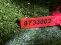 пол багажника Infiniti FX35 2 поколение 2010, 3.5 л., VQ35HR, бензин, внедорожник 5 дв., 849051CA0A - фото №15
