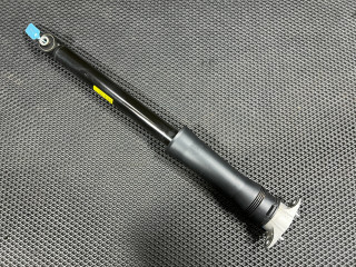 амортизатор задний Buick Encore GX 1 поколение [рестайлинг] 2024, 1.3 л., бензин, АКПП, внедорожник 5 дв., 42481492, 42599537, 60005110