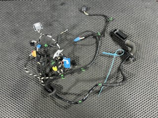 дверная проводка Volkswagen Taos 1 поколение 2023, 1.5 л., DNKA, бензин, АКПП, внедорожник 5 дв., передний привод, 2GJ971120CH