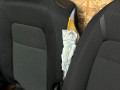 салон (комплект сидений) Honda CR-V 6 поколение 2025, 1.5 л., L15B, бензин, АКПП, внедорожник 5 дв. - фото №8