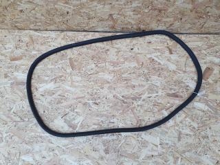 уплотнитель двери Ford Bronco Sport 1 поколение 2020, 1.5 л., бензин, АКПП, внедорожник 5 дв., M1PZ7820709-A