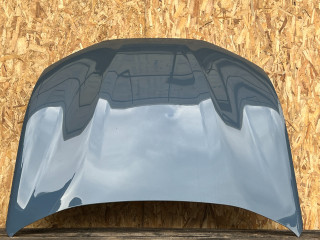 капот Ford Mustang Mach-E 1 поколение 2023, электро, внедорожник 5 дв., LJ8Z16612A