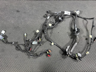 дверная проводка Ford Mustang Mach-E 1 поколение 2023, электро, внедорожник 5 дв., PJ8T-14631-NCB