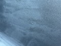 дверь передняя правая Volkswagen Tiguan 2 поколение [рестайлинг] 2024, 2.0 л., DTEA, бензин, АКПП, внедорожник 5 дв., полный привод, 5NN831056C - фото №7