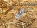 фонарь салона (плафон) Nissan Rogue T33 2023, 1.5 л., KR15, бензин, АКПП, внедорожник 5 дв., передний привод, 2643000Q0C, 8200074365, 81293XX - фото №4