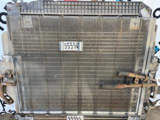 защитная сетка радиатора Mercedes-Benz Actros 2 поколение (MP2) 2007, 11.9 л., OM 541.974, дизель, АКПП, серебристый