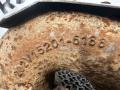 клапан (заслонка) горного тормоза Sitrak C7H 1 2015, 10.5 л., D 2066, дизель, 202V152016188 - фото №7
