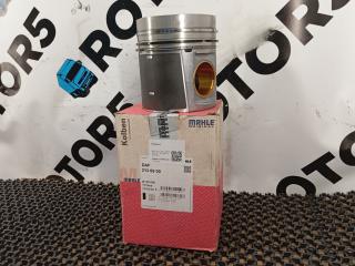 поршень DAF 95 2 поколение (XF) 2006, 12.6 л., XE 390 C1, дизель, 2136900