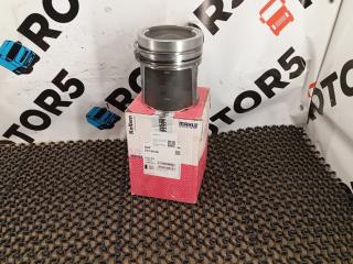 поршень DAF 95 2 поколение (XF) 2006, 12.6 л., XE 390 C1, дизель, 2136900