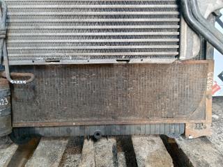 защитная сетка радиатора DAF XF 105 1 поколение 2009, 12.9 л., MX 300, дизель, МКПП