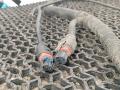 проводка двигателя MAN TGA 1 поколение 2003, 12.0 л., D 2866 LF28, дизель, 81254240009 - фото №9