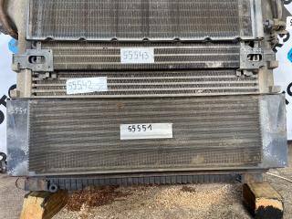 защитная сетка радиатора Mercedes-Benz Actros 2 поколение (MP2) 2007, 11.9 л., OM 541.974, дизель, АКПП, серебристый