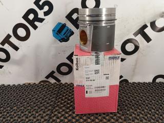 поршень DAF 95 2 поколение (XF) 2006, 12.6 л., XE 390 C1, дизель, 2136900