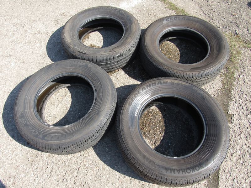 шина - фото №1