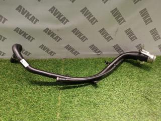 горловина топливного бака BMW X7 G07 [рестайлинг] G07 2023, 3.0 л., B58B30P, бензин, a96, внедорожник 5 дв., полный привод, 16115A343A0, 5A343A0