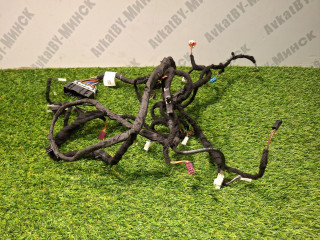 проводка BMW X7 G07 2019, 3.0 л., B58B30C, бензин, c1m, внедорожник 5 дв., полный привод, 8779718