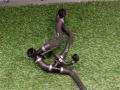 патрубок (трубопровод, шланг) BMW X7 G07 2022, 3.0 л., B58B30C, бензин, АКПП, a96, внедорожник 5 дв., полный привод, 17129797737, 9797737 - фото №7