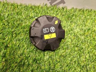 пробка расширительного бачка BMW X7 G07 2022, 3.0 л., B58B30C, бензин, АКПП, a96, внедорожник 5 дв., полный привод, 17117639020, 7639020