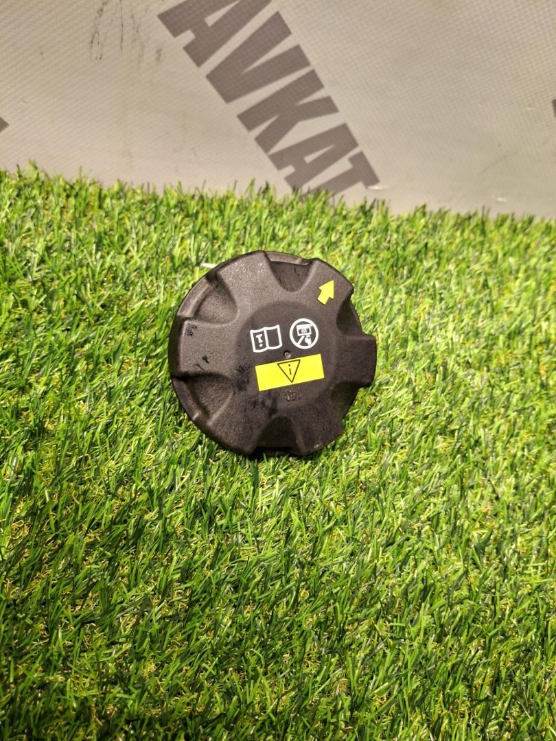 пробка расширительного бачка BMW X7 G07 2022, 3.0 л., B58B30C, бензин, АКПП, a96, внедорожник 5 дв., полный привод, 17117639020, 7639020 - фото №1