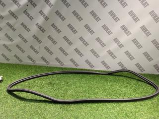 уплотнитель BMW 4 серия G22/G23 G22 2021, 2.0 л., B46 B20 B, бензин, АКПП, c31(portimao blau metallic), купе, полный привод, 7478923, 51767478923