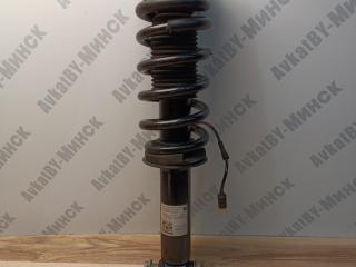 амортизатор задний левый BMW X4 M F98 2021, 3.0 л., s58b30a, бензин, АКПП, donington-grau metallic (c28), внедорожник 5 дв., 8067507, 31318067507