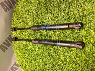 амортизатор капота BMW X3 G01 2018, 2.0 л., B46 B20 B, бензин, АКПП, a300, внедорожник 5 дв., полный привод, 51237397493, 7397493