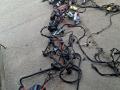 проводка салона BMW X7 G07 [рестайлинг] G07 2024, 3.0 л., B58B30P, бензин, АКПП, карбон шварц 416, полный привод, 61112469066, 2469066, 61112469069, 2469069 - фото №12