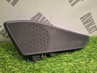 Накладка (сетка) динамика BMW X7 G07 2022, 3.0 л., B58B30C, бензин, АКПП, a96, внедорожник 5 дв., полный привод, 51418495495, 8495495