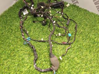 дверная проводка BMW 5 серия G30/G31 [рестайлинг] G30 2021, 2.0 л., B46 B20 B, бензин, 668, седан, полный привод, 61125A1C486, 5A1C486