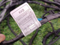 проводка люка BMW X7 G07 2019, 3.0 л., B58B30C, бензин, c1m, внедорожник 5 дв., полный привод, 8736323, 61128736323 - фото №4