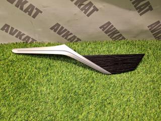 молдинг двери задней правой BMW X7 G07 2022, 3.0 л., B58B30C, бензин, АКПП, a96, внедорожник 5 дв., полный привод, 51418089130, 8089130