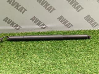 амортизатор крышки багажника (3-5 двери) BMW X5 G05 2019, 4.4 л., N63 B44 C, бензин, АКПП, а300, внедорожник 5 дв., полный привод, 7441799, 51247441799