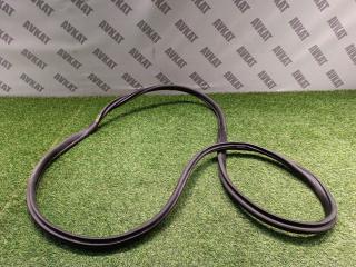 уплотнитель двери BMW 4 серия G22/G23 G22 2021, 2.0 л., B46 B20 B, бензин, АКПП, c31(portimao blau metallic), купе, полный привод, 7482709, 51767482709